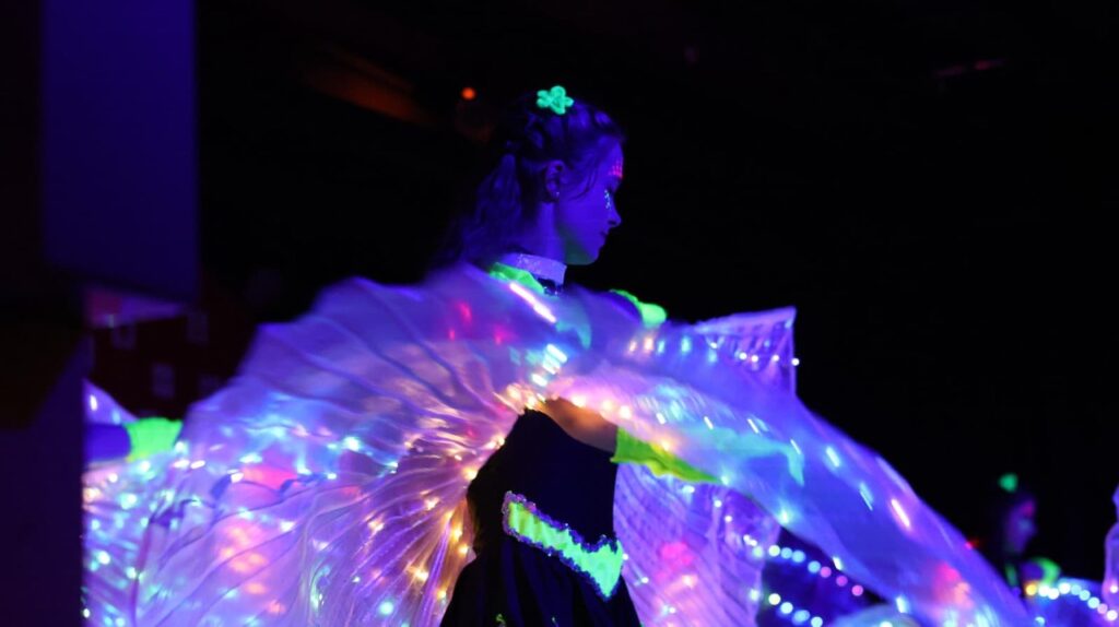  47. Karnevalsgala des Karneval Verbands Niedersachsen in Varel