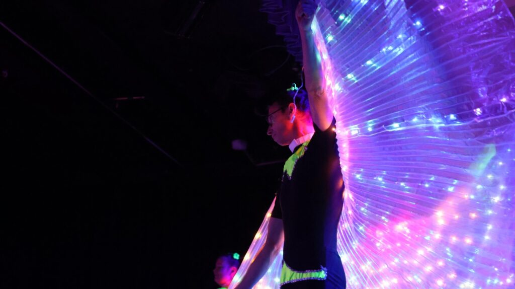  47. Karnevalsgala des Karneval Verbands Niedersachsen in Varel