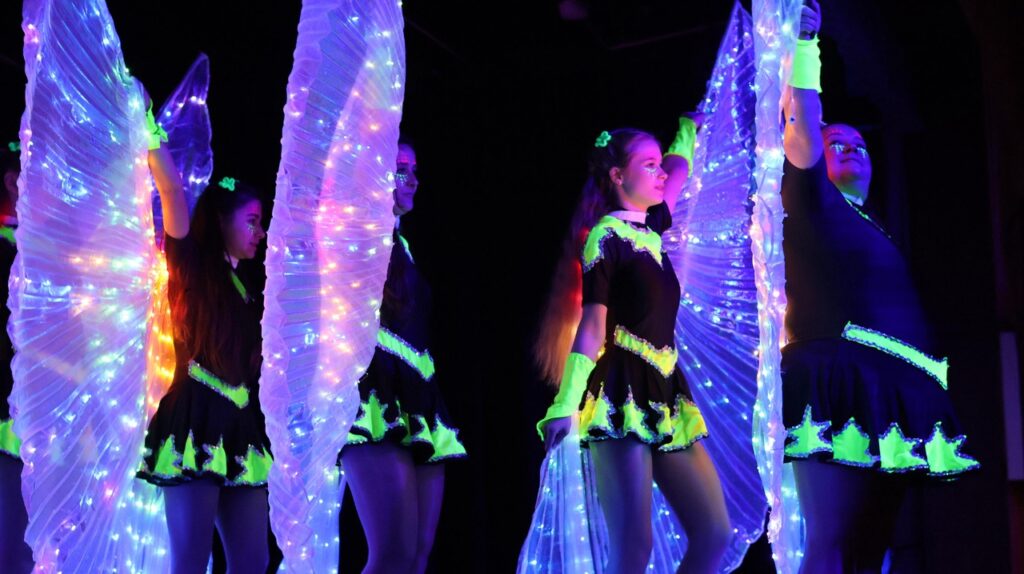  47. Karnevalsgala des Karneval Verbands Niedersachsen in Varel