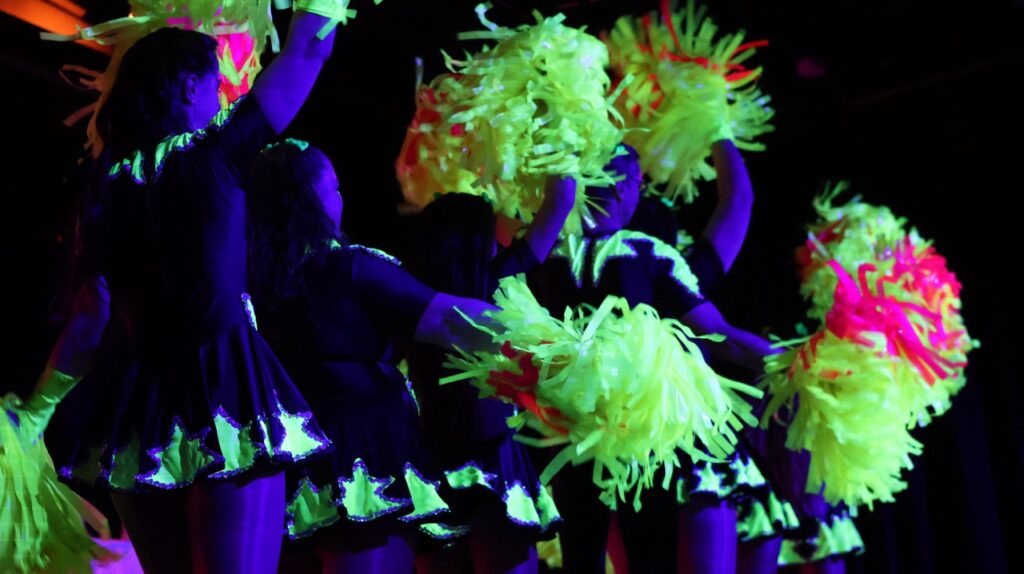  47. Karnevalsgala des Karneval Verbands Niedersachsen in Varel